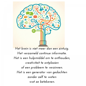 het creative brein www.embryologisch.nl waarnemen